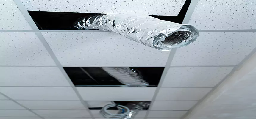 Affordable HVAC Sanitizing After Pest Removal in Millville