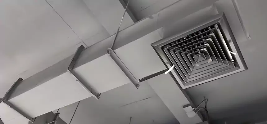 Our Pest Removal From Ducts Services in Millville, NJ