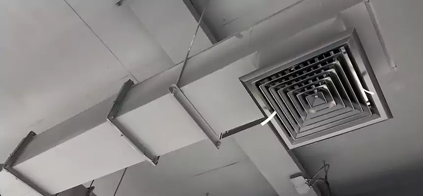 Our Rodent Droppings In Vents Services in Millville, NJ