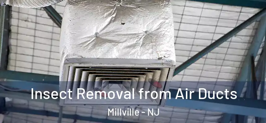  Insect Removal from Air Ducts Millville - NJ