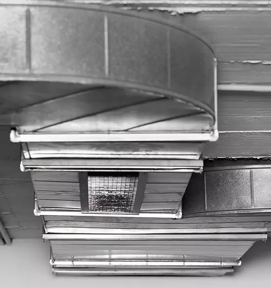 Professional Air Duct Pest Removal in Millville, NJ