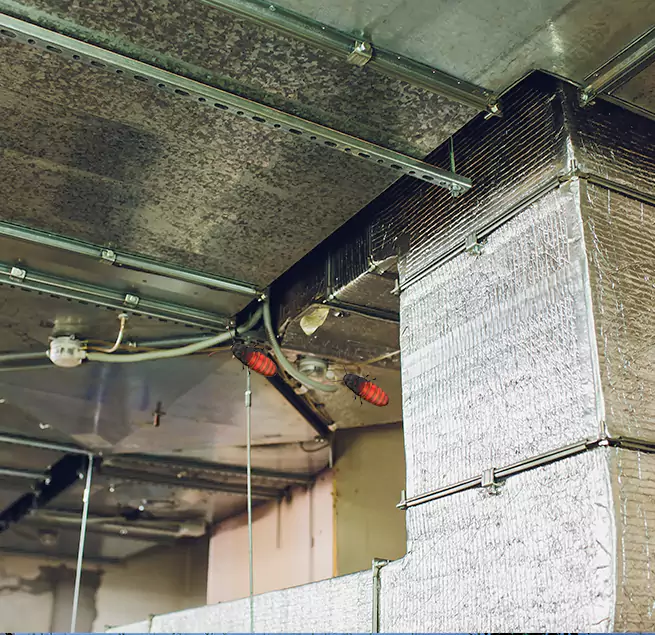 Why Homeowners & Businesses Trust Us in Millville, NJ?