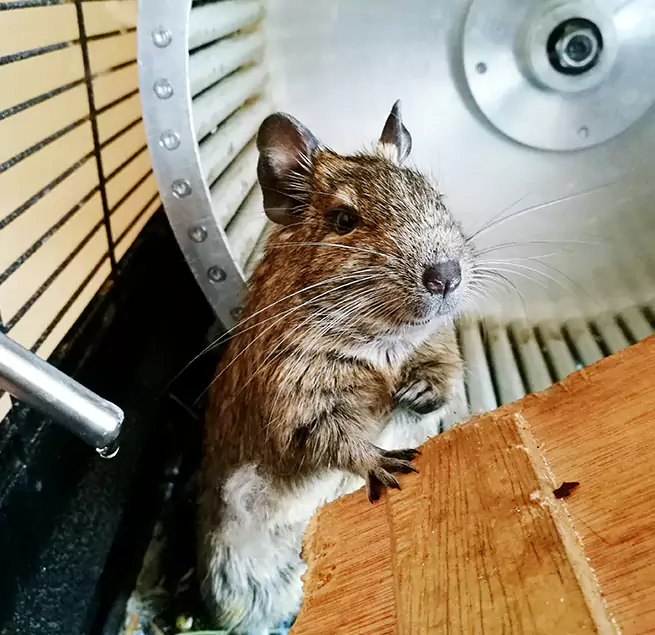 Why Homeowners & Businesses Trust Us Millville, NJ