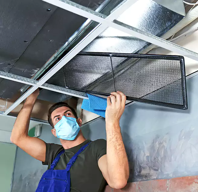 Why Homeowners Businesses Trust Us in Millville, NJ