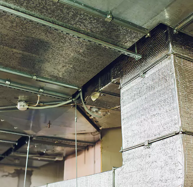 Why Homeowners & Businesses Trust Us in Millville, NJ?